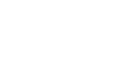 Podjazd z kostki Pozbruk Lido